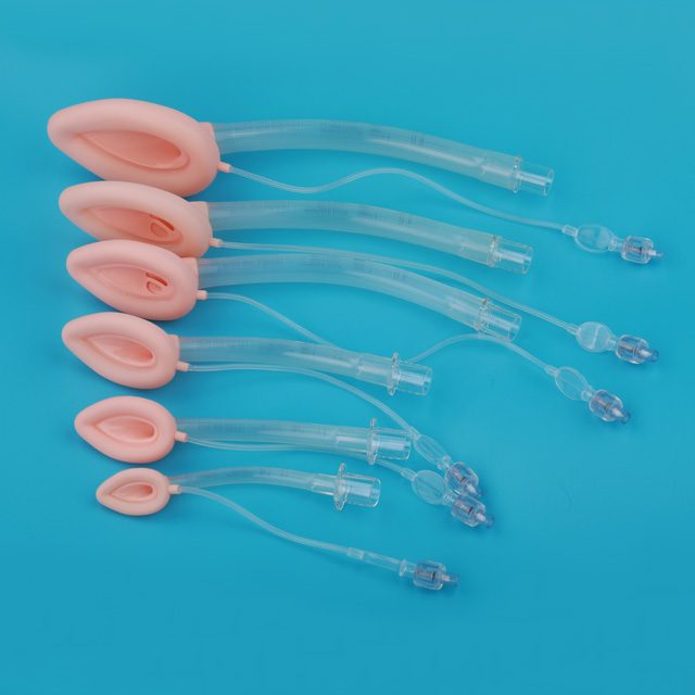 Laryngeal Mask Airway for Anesthesia